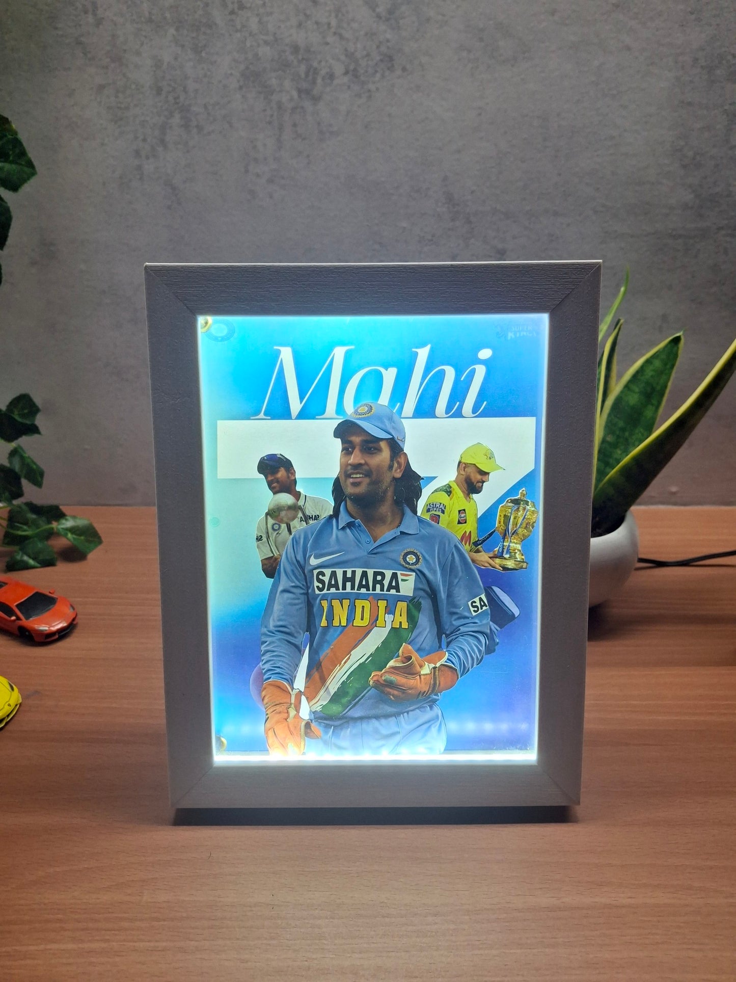 MSD 101 3D Dual LED Frame