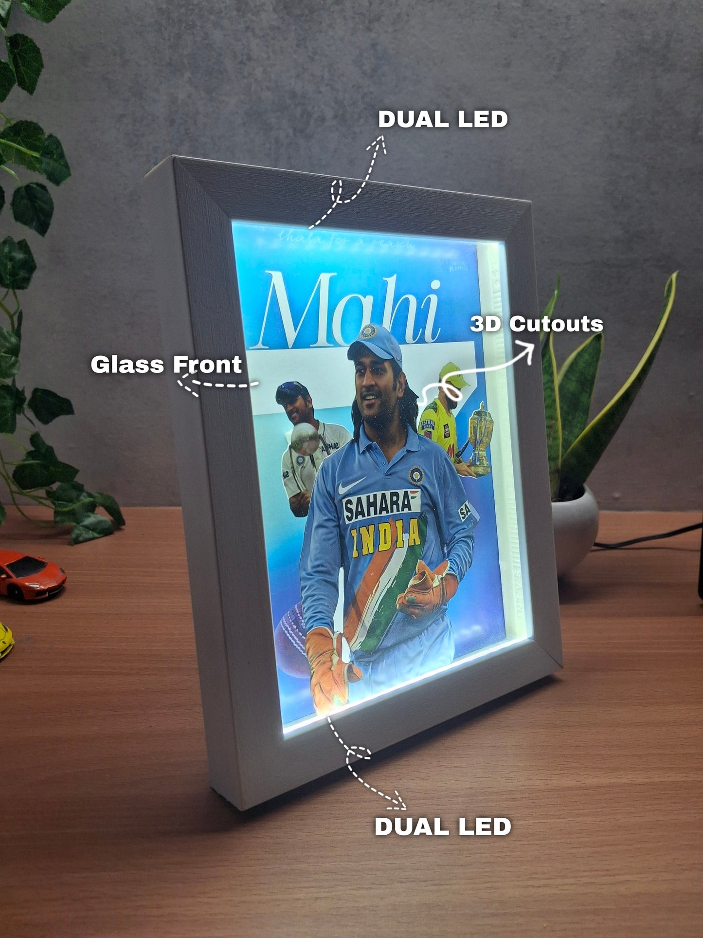 MSD 101 3D Dual LED Frame