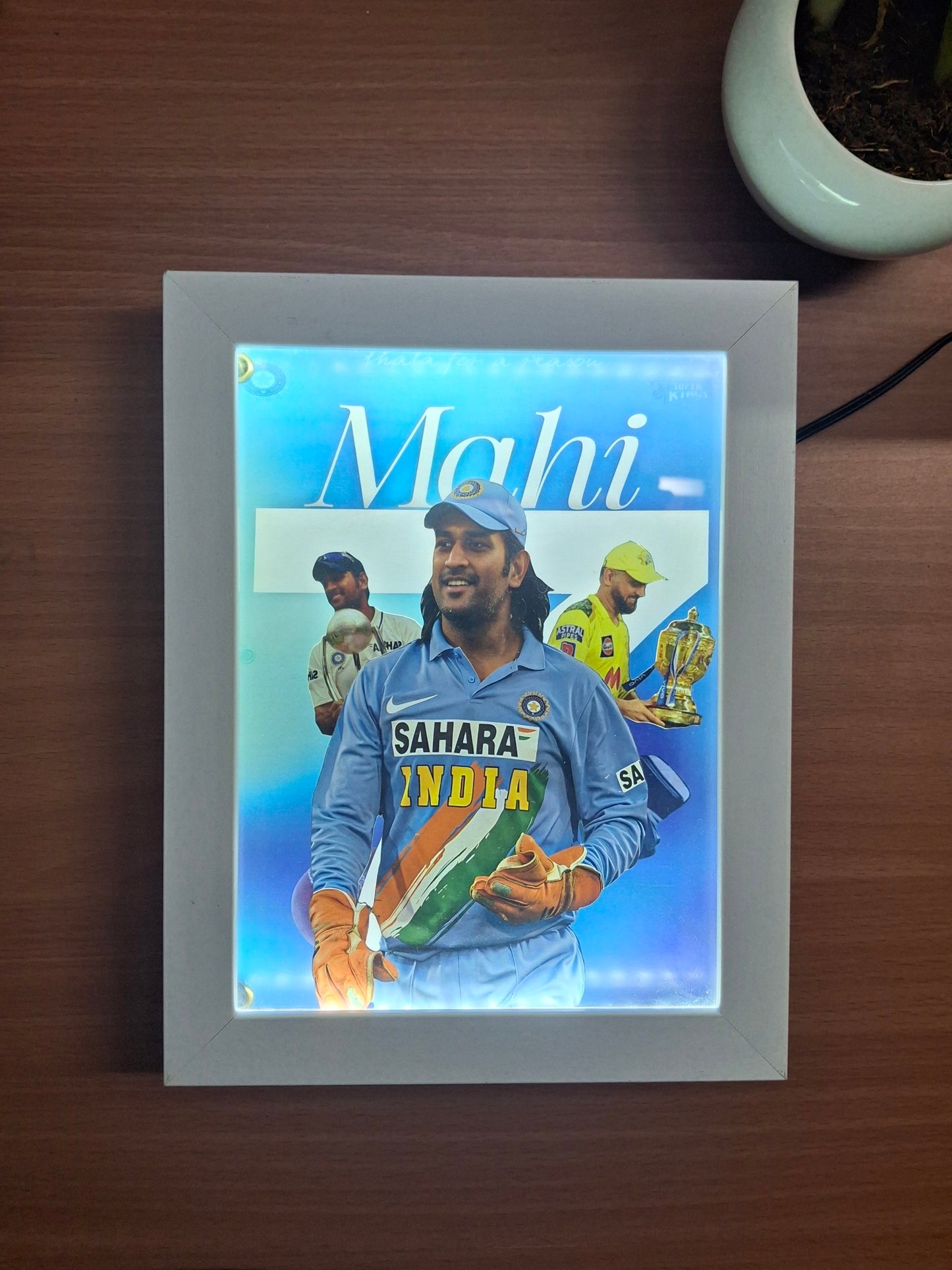 MSD 101 3D Dual LED Frame
